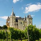 Château de Saumur et vignobles 