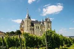 Château de Saumur et vignobles 