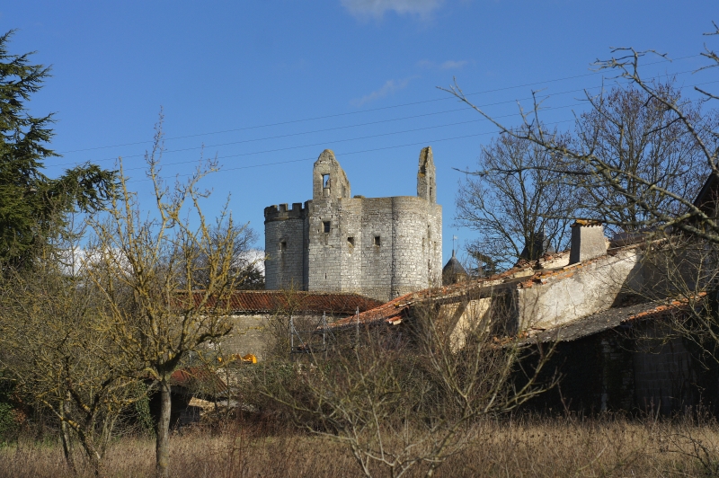 Château de st Cassien (86)