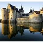 Château de Sully sur Loire