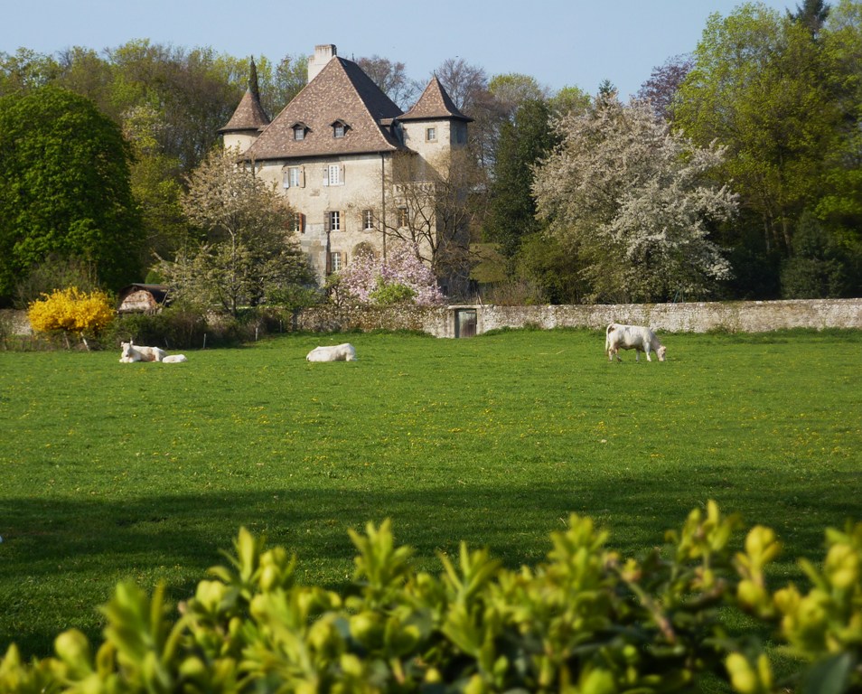 ¨Château de Thuiset (près de Thonon-les-bains 74)