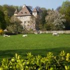 ¨Château de Thuiset (près de Thonon-les-bains 74)