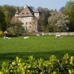 ¨Château de Thuiset (près de Thonon-les-bains 74)