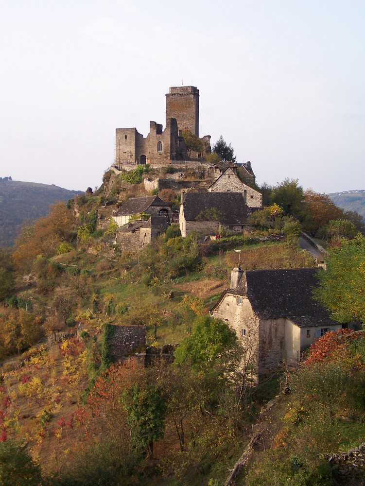 Château de Vallon et ses maisons de emidav 