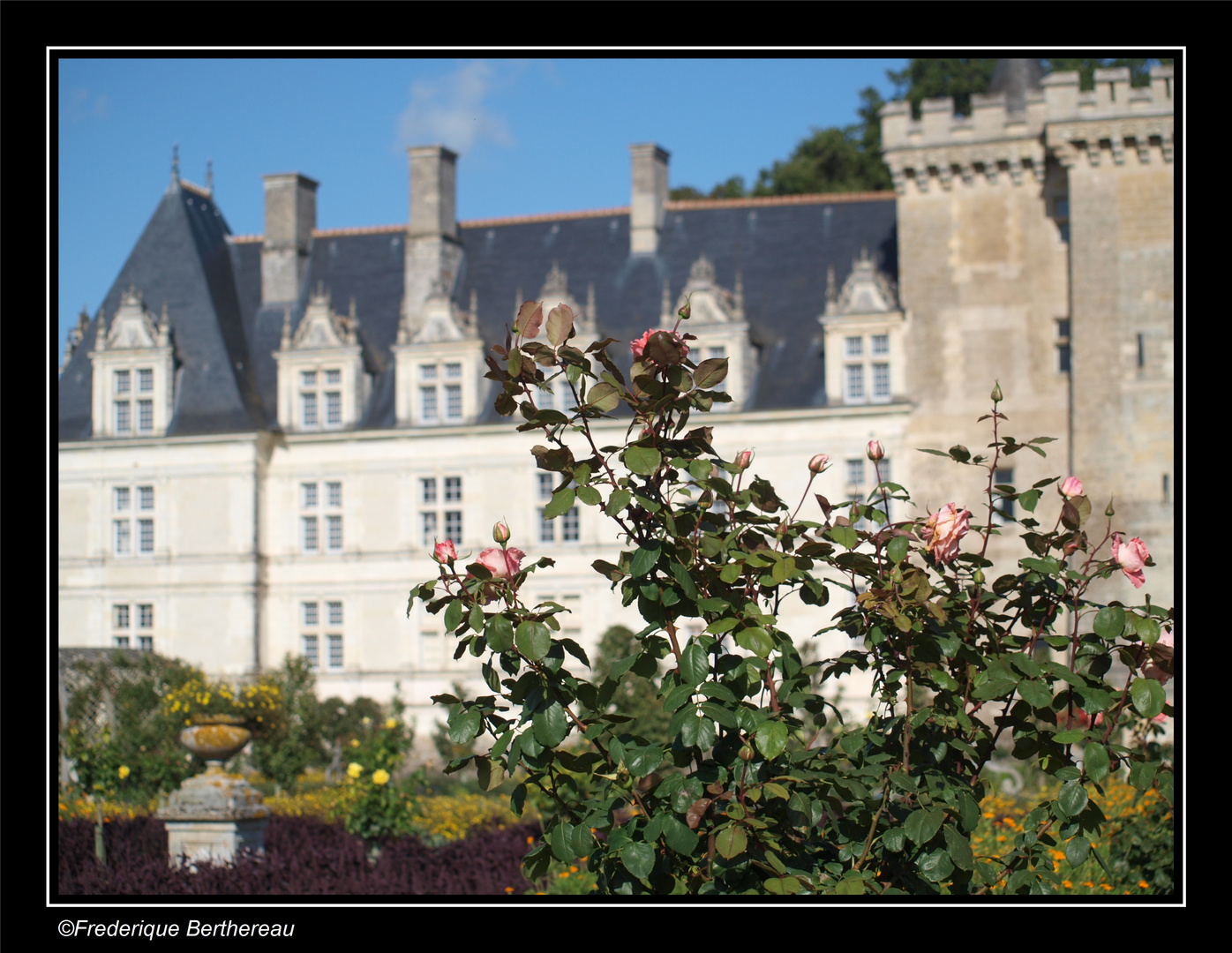 Château de Villandry