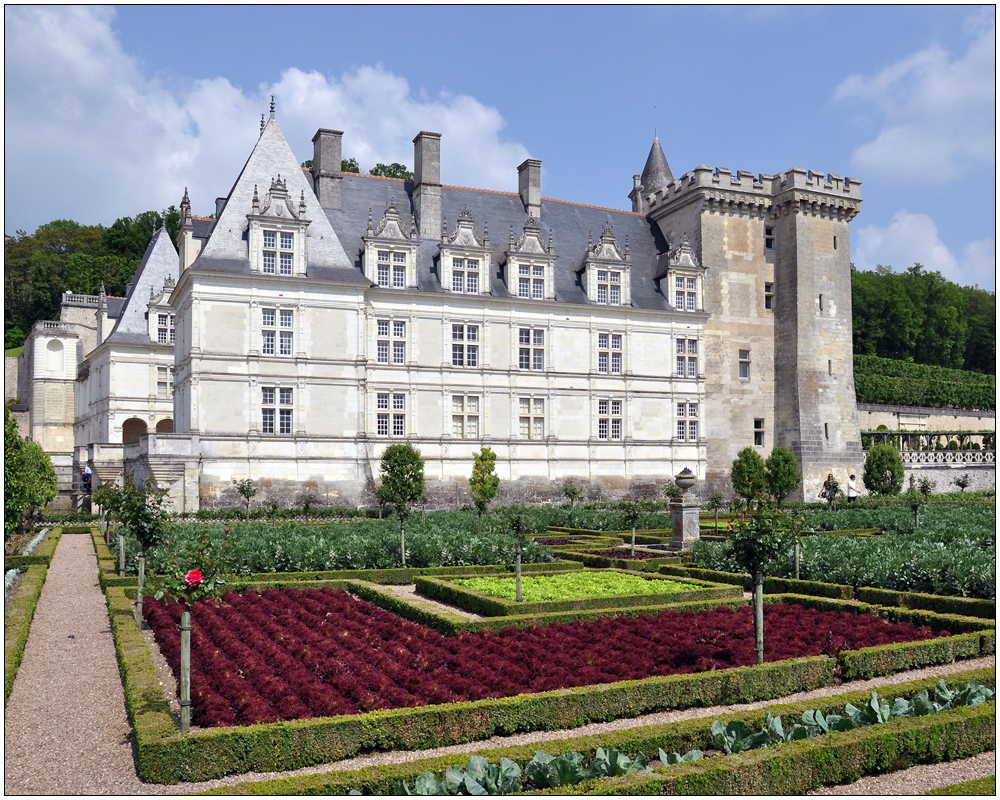 Château de Villandry VI