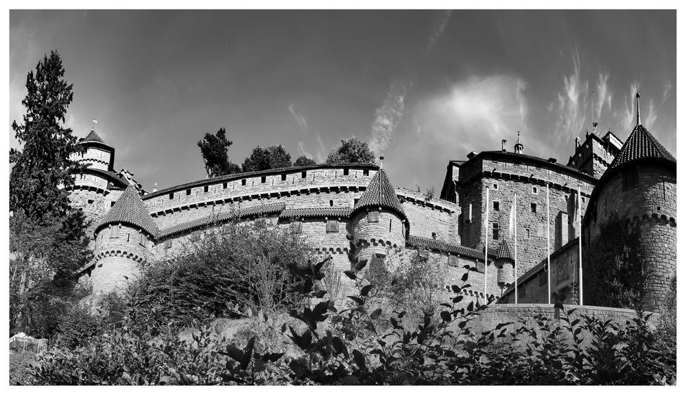 Château du Haut-Kœnigsbourg