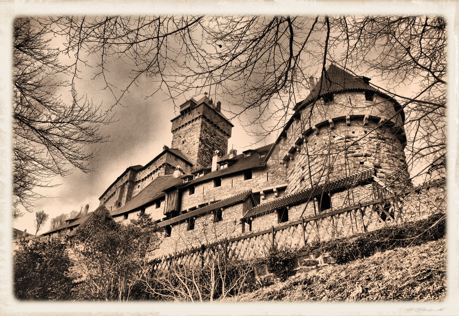 château du Haut-Koenigsbourg (Alsace)