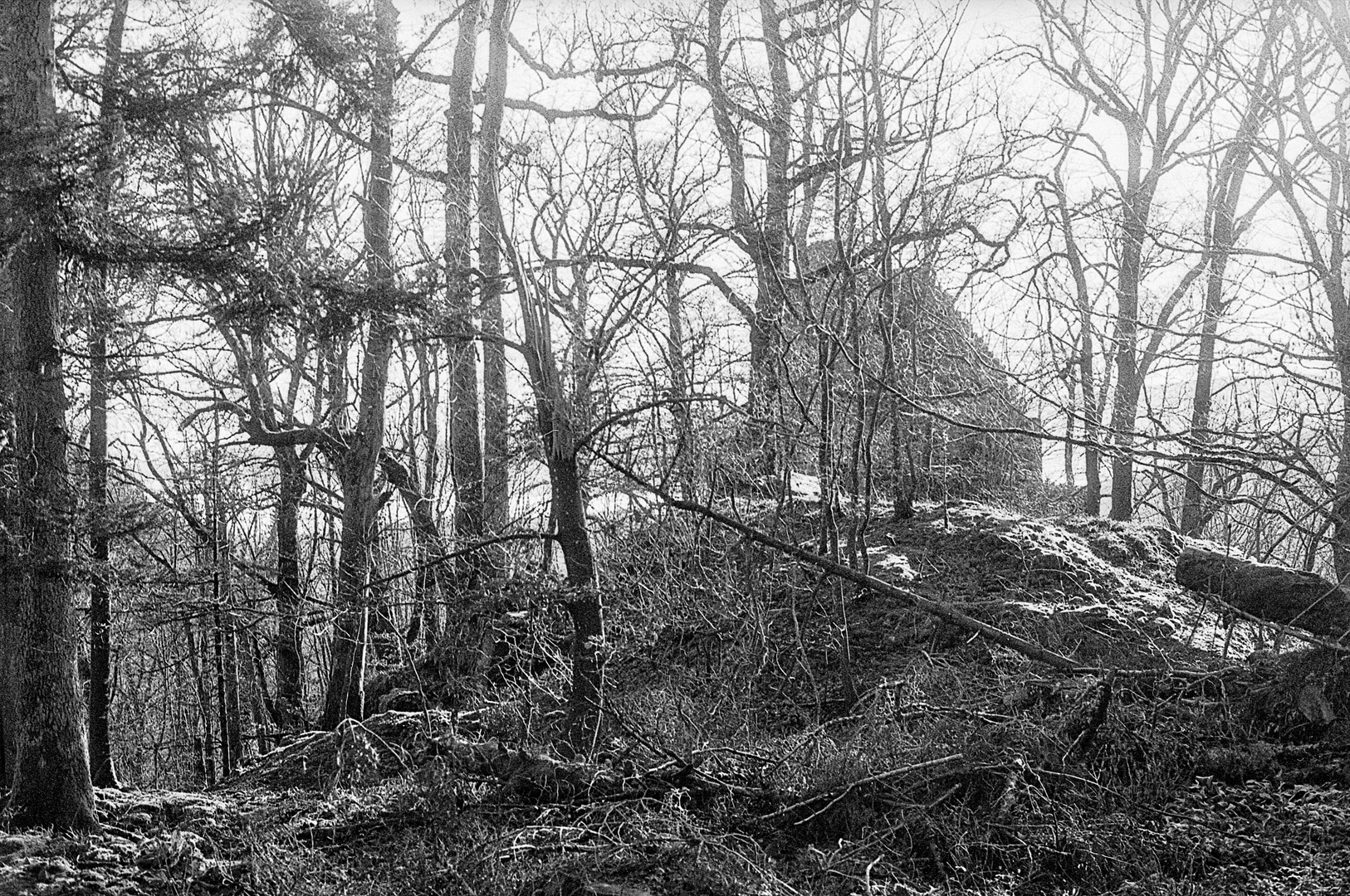 Château du Nideck à coté des brumes