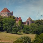 Château du Pin, Jura