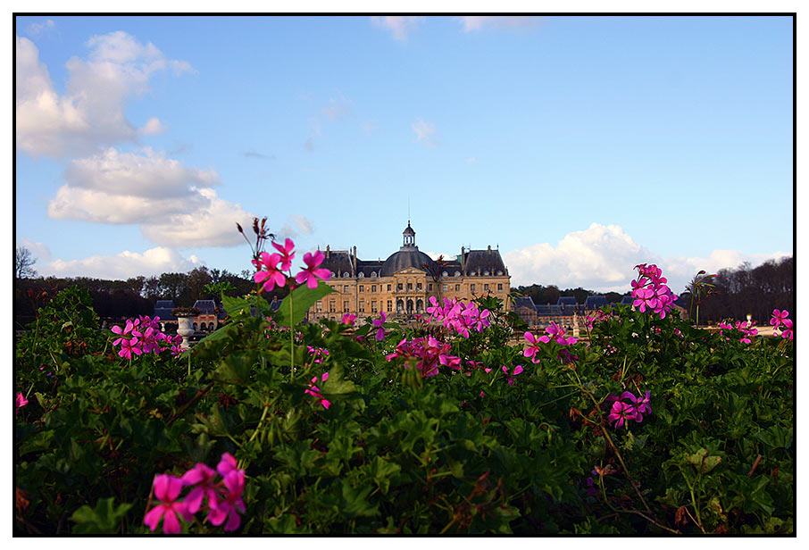 Château fleuri