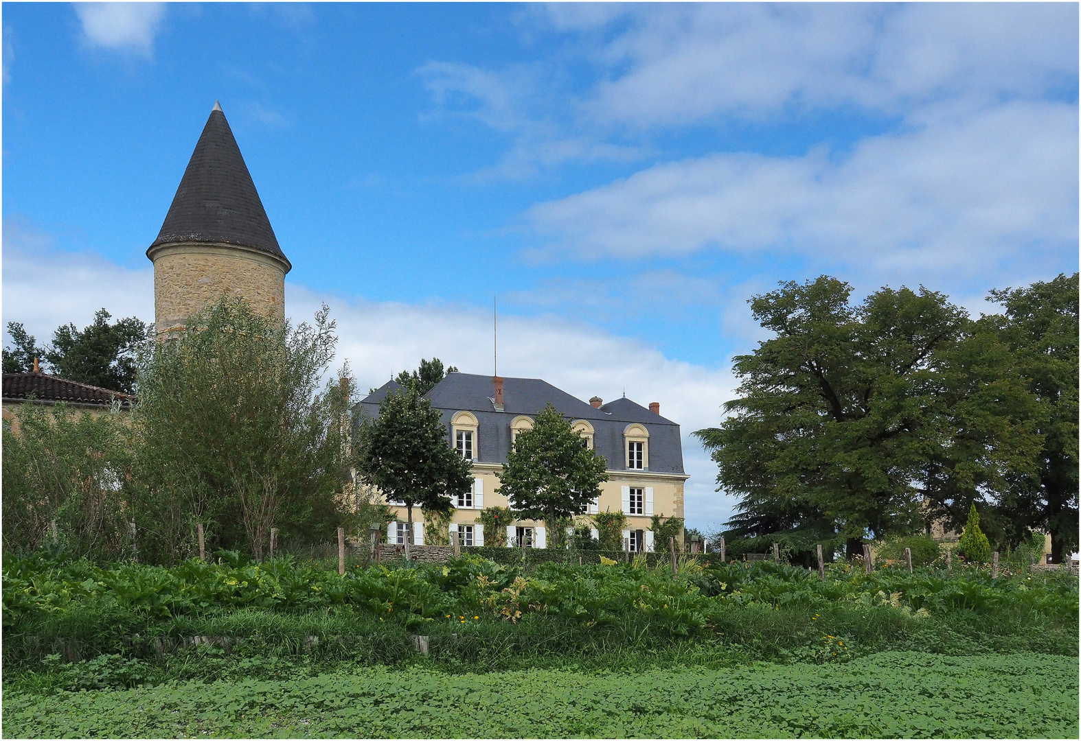 Château Guiraud