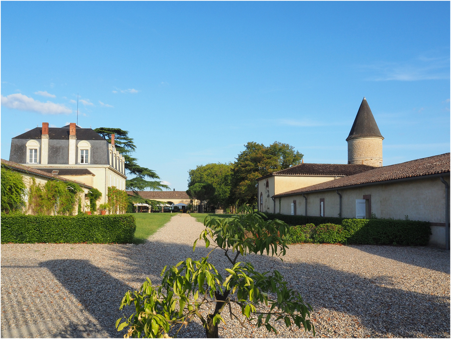    Château Guiraud