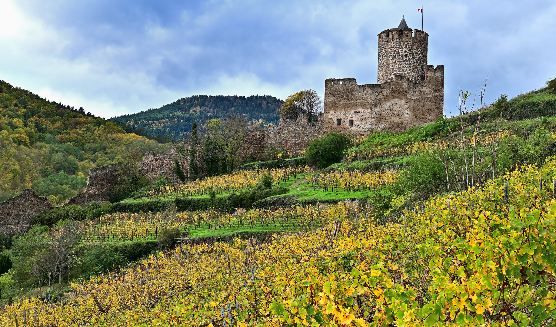 Château Kaysersberg