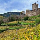 Château Kaysersberg