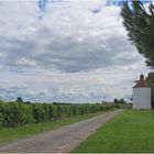 Château La Tour Blanche