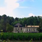 Château Picque Caillou dans la verdure