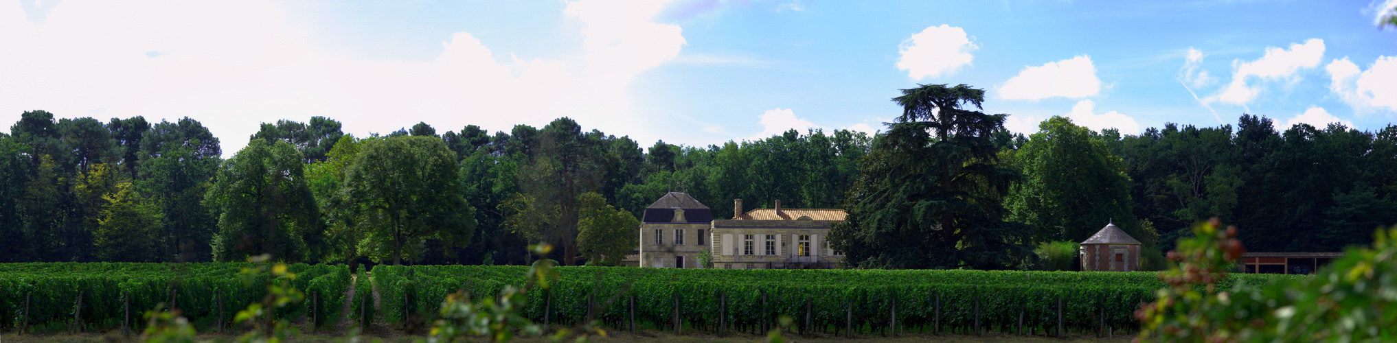 Château Picque Caillou dans la verdure