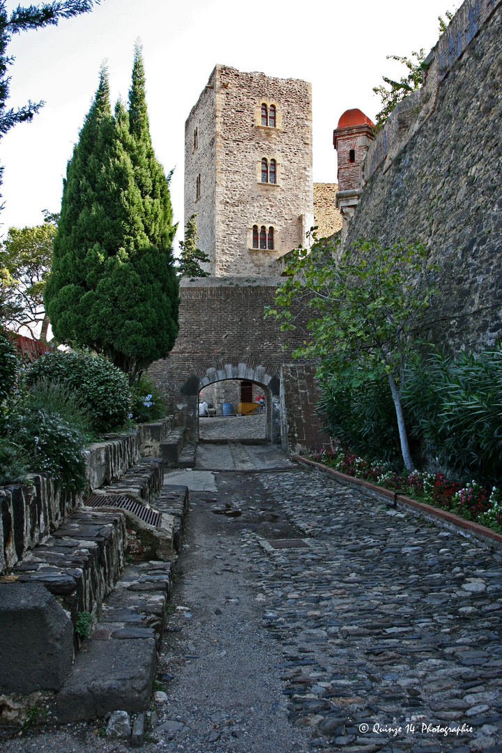 Château Royal à Collioure.