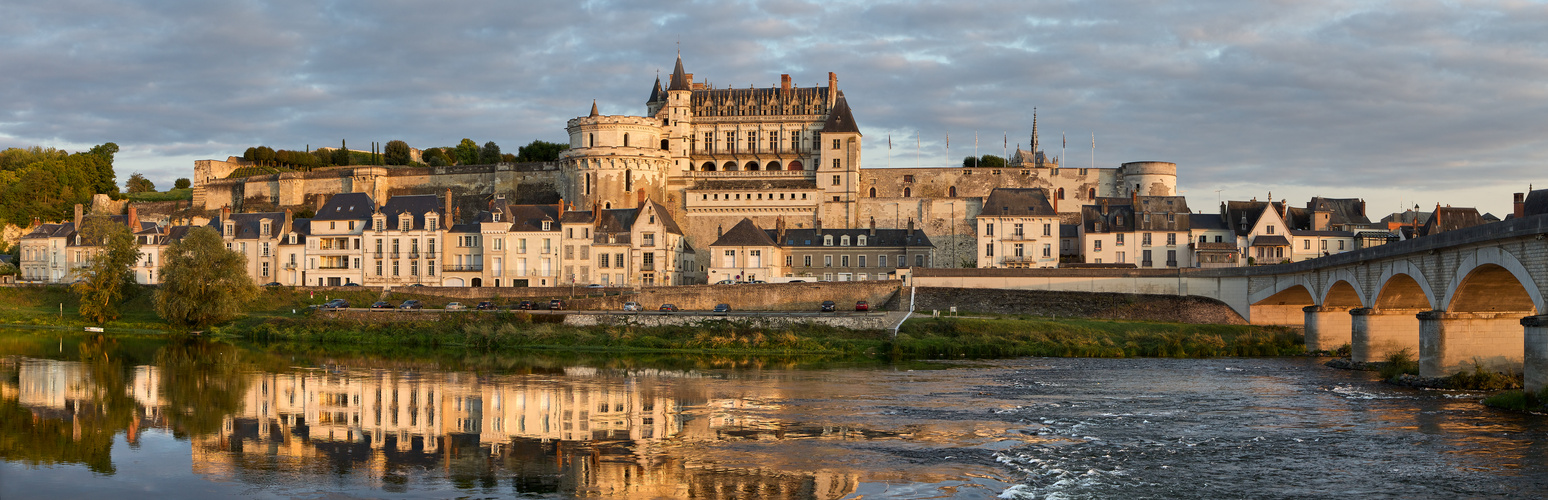 Château Royal d'Amboise 