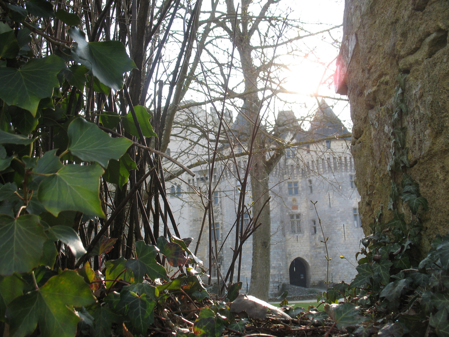 Château Saint Jean