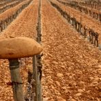 Châteauneuf-du-Pape....