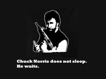 Chuck Norris forever