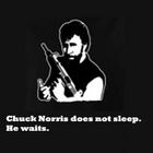 Chuck Norris forever