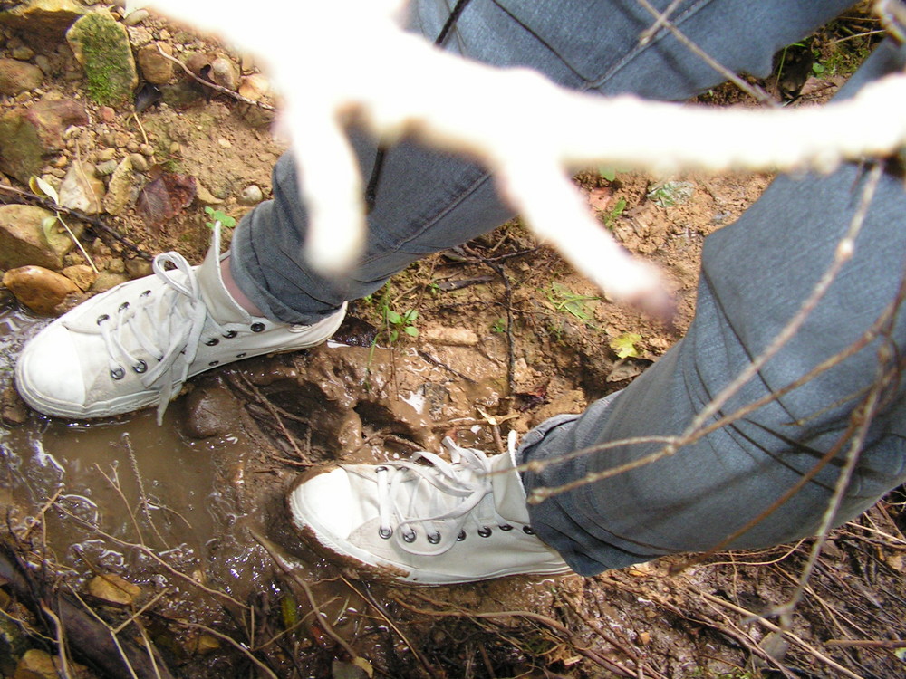 Chucks goes to Mud