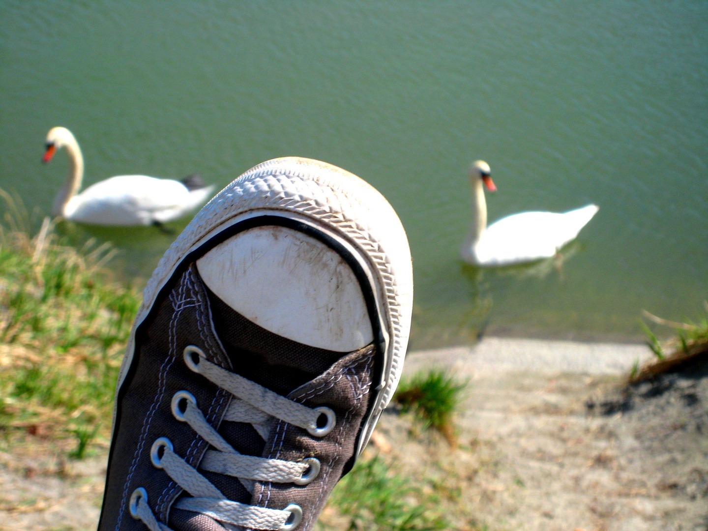 Chucks im Park II