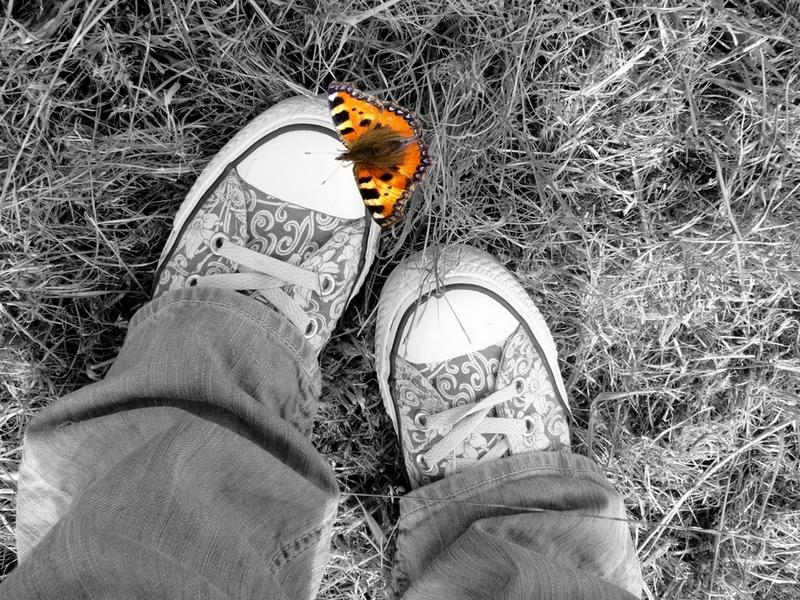 Chucks mit Schmetterling