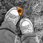 Chucks mit Schmetterling