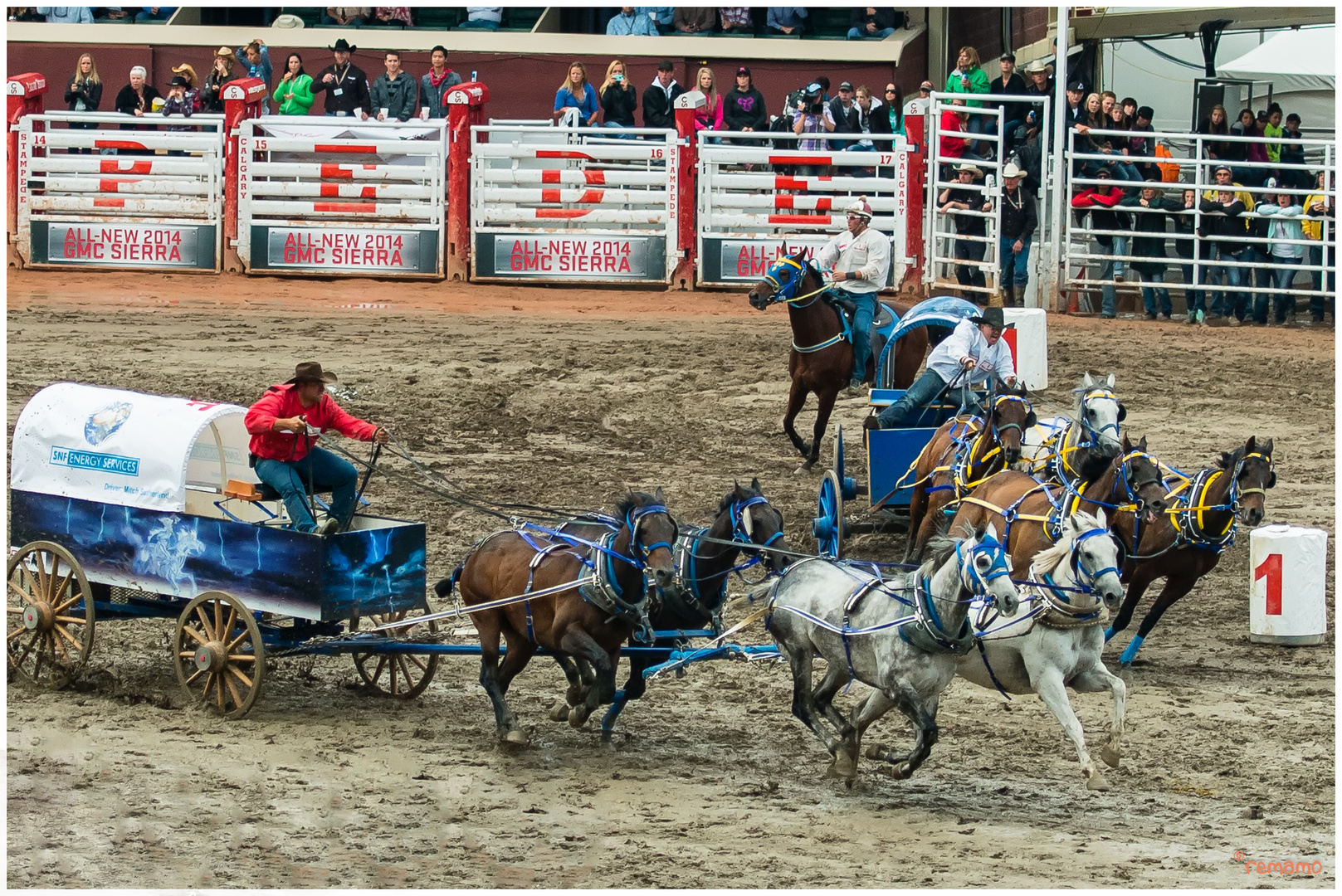 Chuckwagon Race