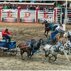 Chuckwagon Race