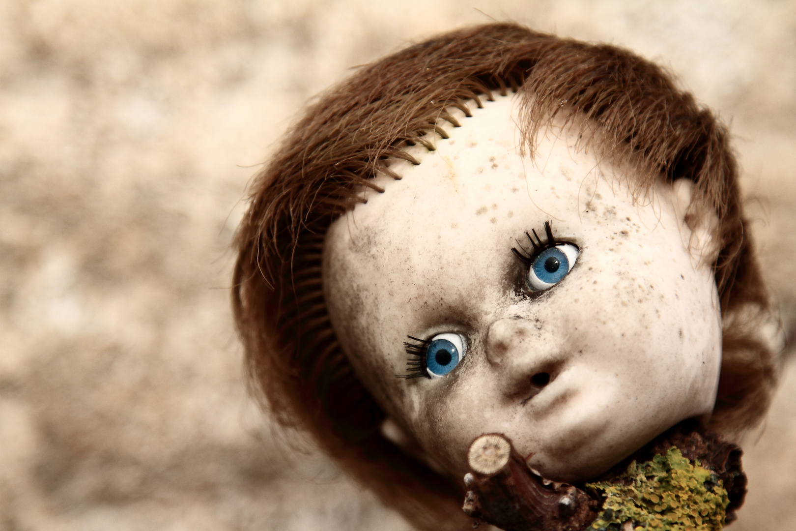 Chucky´s Gartendeko...