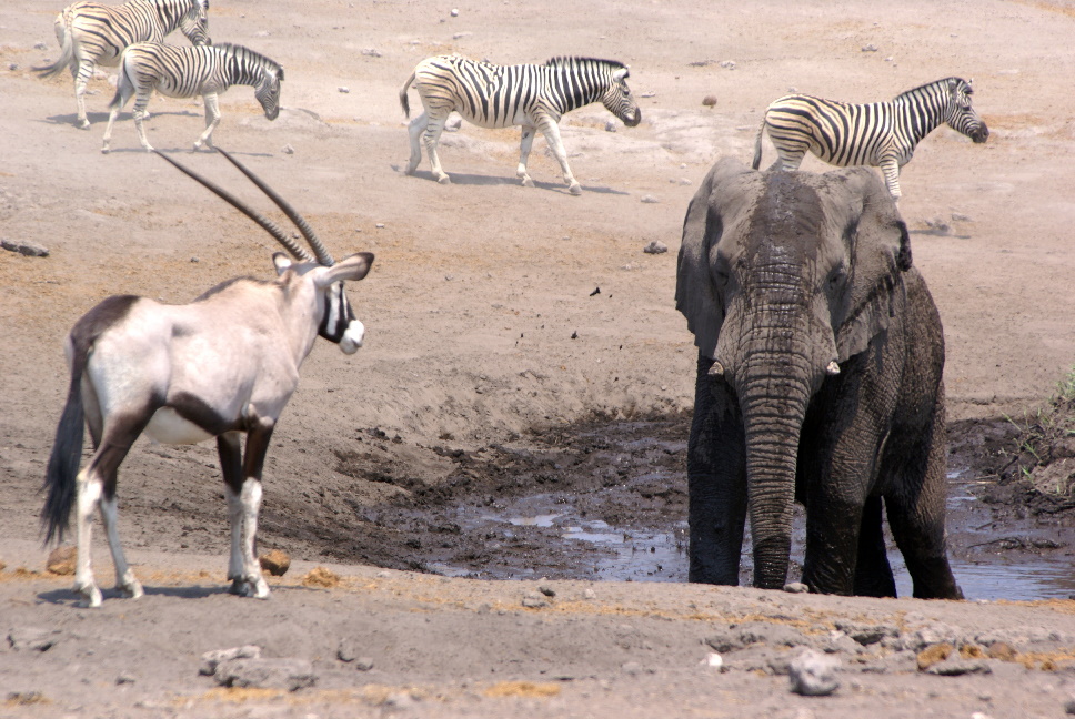 Chudop Waterhole 2007