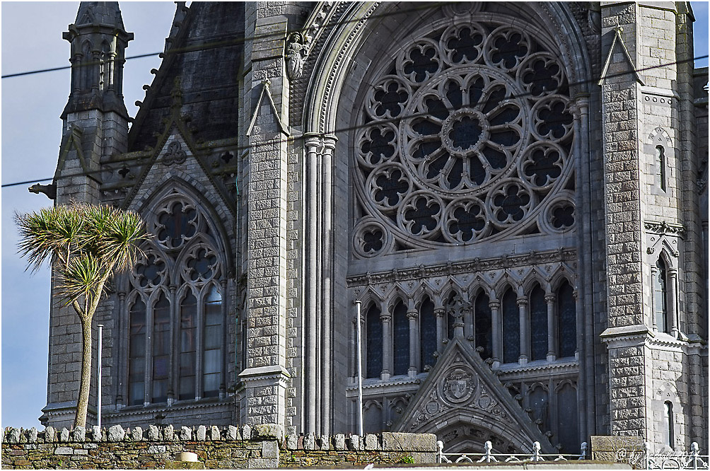 church and palm