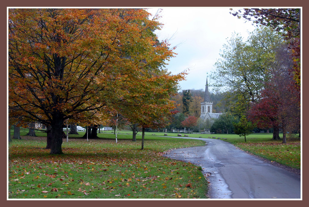 Church between the trees.