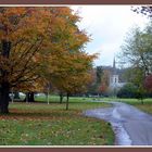 Church between the trees.