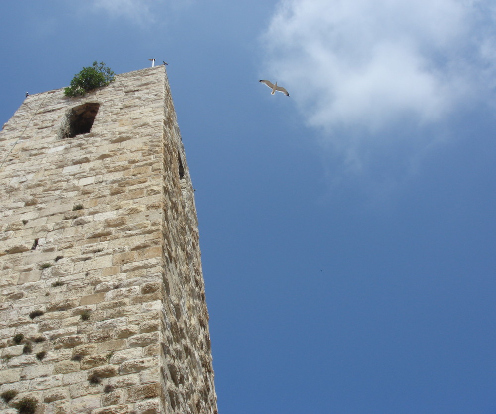 Church of Antibes