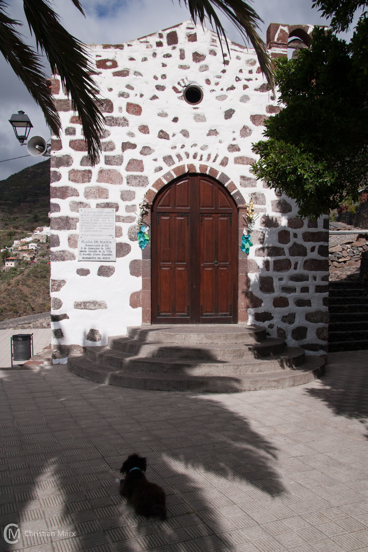 Church with dog