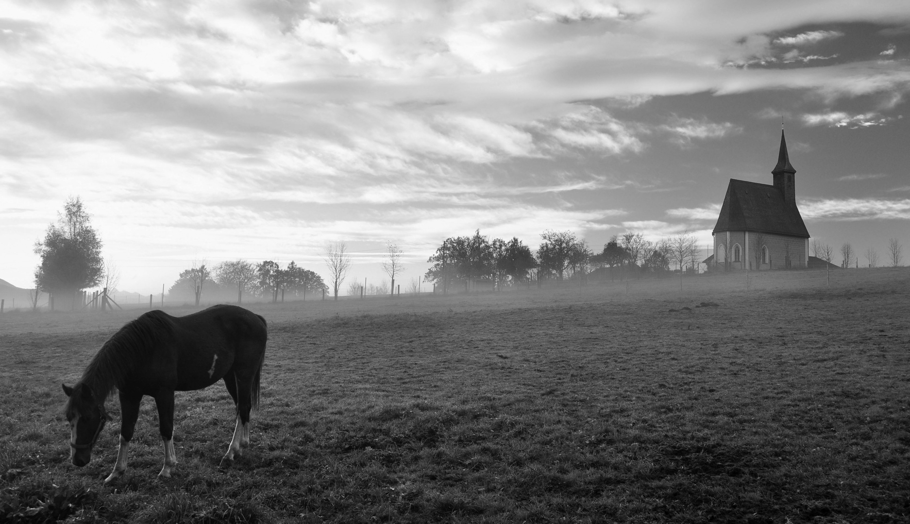 churchhorse