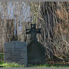 Churchyard at thropton northumberland 2