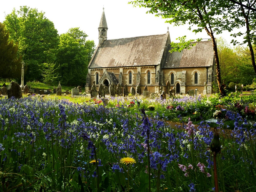 Churchyard in spring