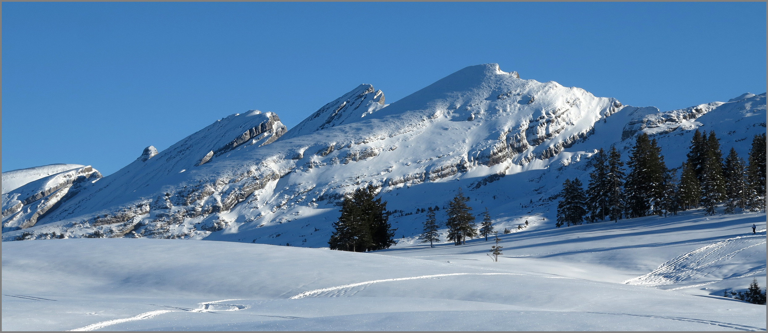 Churfirsten, als Walfische