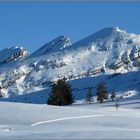 Churfirsten, als Walfische