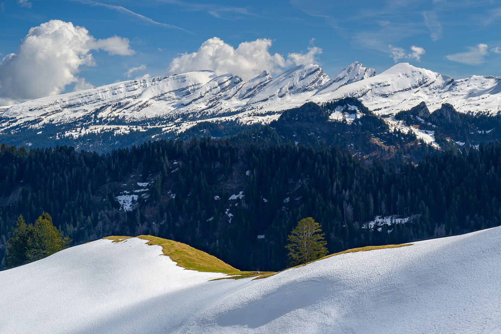 Churfirsten, Blick von der Wolzenalp