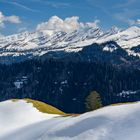 Churfirsten, Blick von der Wolzenalp