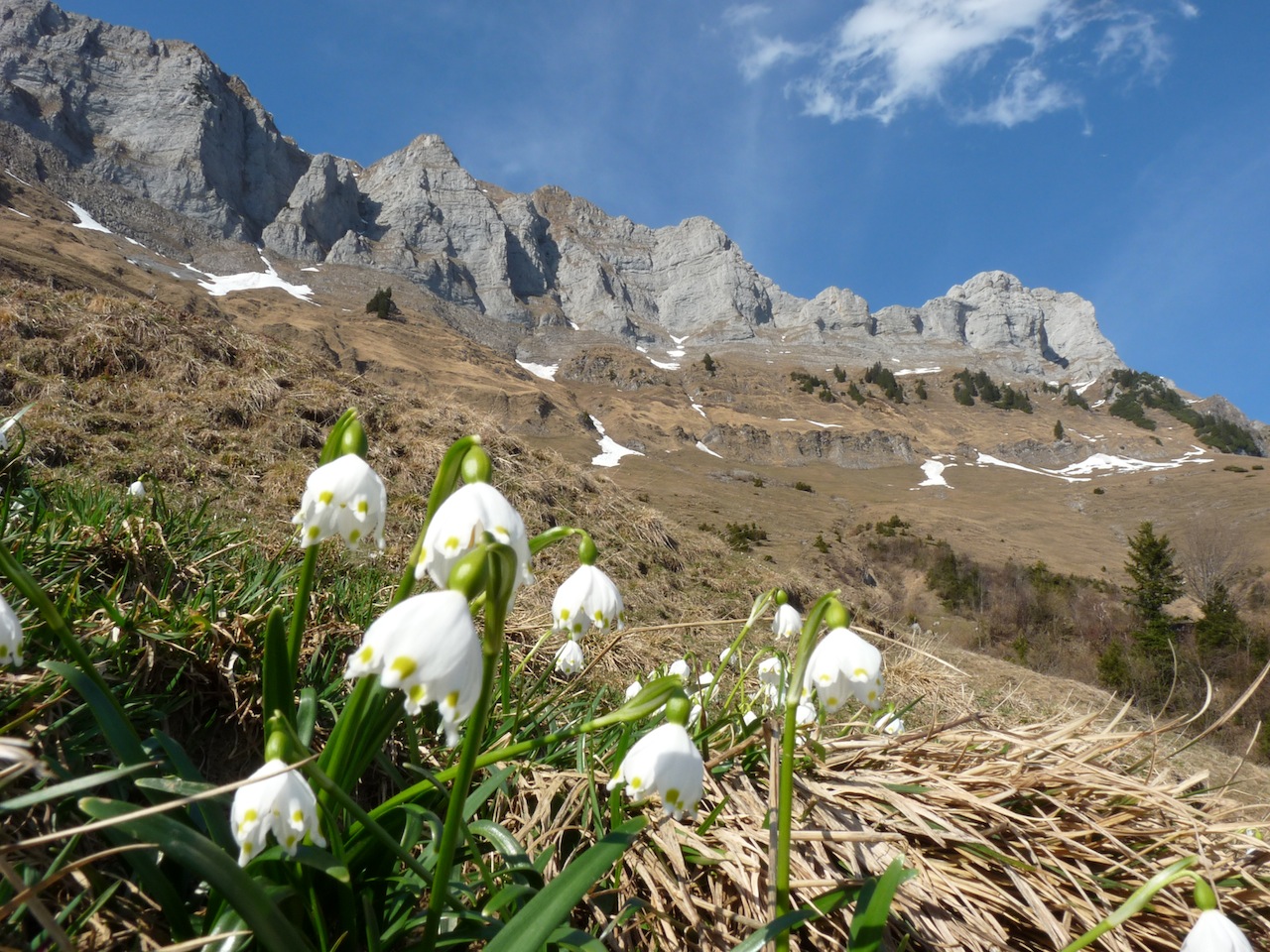 Churfirsten im März 2014