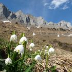 Churfirsten im März 2014